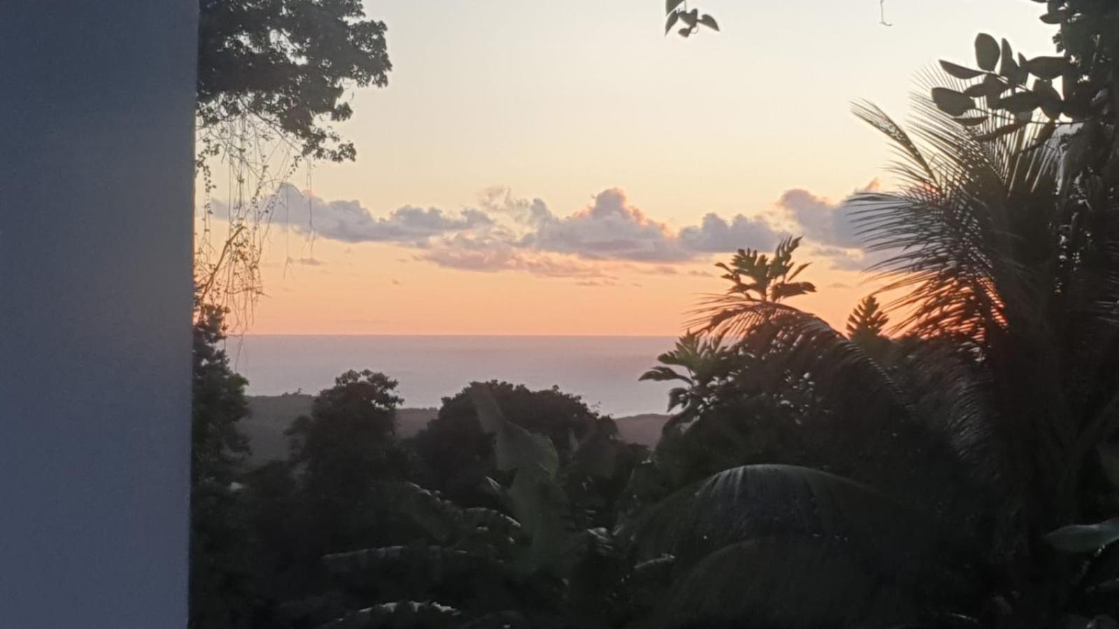 Villa Les Mahoganys Riviere-Salee Екстериор снимка
